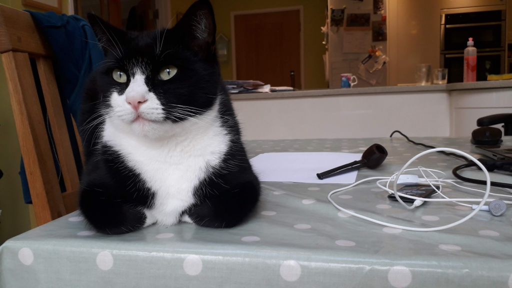 A black and white cat lying on a table with a blue and white polka dot pattern. Various electronic items beside the cat.